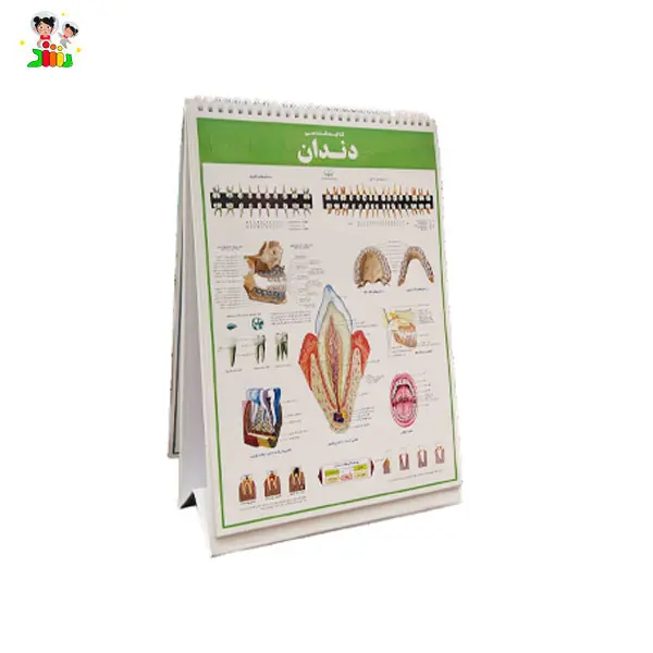 کتاب اطلس کالبد شناسی(آناتومی) بدن انسان | اندیشه کهن